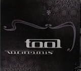 cover of Vicarious