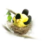 Buy American Goldfinch Plush Audubon Bird with Authentic Bird Call Sounds by WILD REPUBLIC