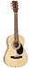 1/2 Size Acoustic Guitar from J. Reynolds