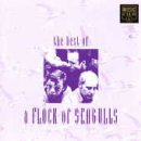 A Flock of Seagulls - The Best of A Flock of Seagulls