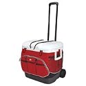 Igloo Cool Fusion 40