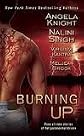Burning Up (Berkley Sensation) [ Publisher: Berkley