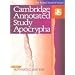 NRSV Cambridge Annotated Study Apocrypha : New Revised Standard Version Cambridge Study Apocrypha