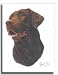 Chocolate Labrador Designer Dog Flags