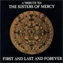 CD-Charts  Music : First and Last and Forever: A Tribute to the Sisters of Mercy