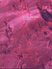 My Red Homeland. Kunsthaus Bregenz, 27.09.2003 - 16.11.2003
