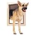 Large Ultimate Pet Door