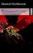 Cover Flammenbucht. Das Zeitalter der Wandlung 02.