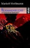 Flammenbucht. Das Zeitalter der Wandlung 02.