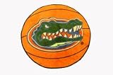 Florida Basketball Mat