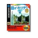 目がホリデー