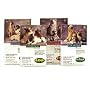 Advantage Flea Killer for Dogs, RED, 21-55LBS. 4 Month Supply, U