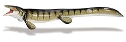 Carnegie Collection Tylosaurus