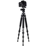Dolica ZX600B300 Proline ZX Series 60-Inch Carbon Fiber Tripod with Ball Head