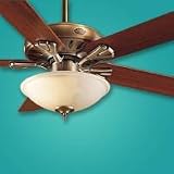 Hunter 28558 15 Bowl 120watt Frosted Light Kit