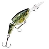 Jointed Shad Rap