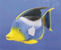 RC Swimming Fish 217FARvvE L RC Swimming Fish