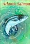 The Atlantic Salmon: Natural History, Exploitation and Future Management