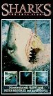 Sharks:the True Story