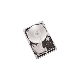 Maxtor 8D300J0 Hard Drives ULTRA320-80PIN 300GB-10000RPM, 90 Day Warranty by 