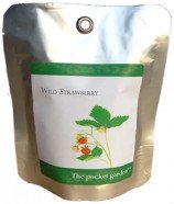Walderdbeere Pocket Garden