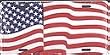 USA Wave Flag License Plate