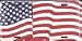 USA Wave Flag License Plate