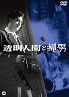 �����l�ԂƔ��j [DVD]