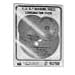 Tools & Hardware : Phenolic Backing Disc Combination Pack - 4In, 5In & 7In