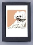 Paper Russells PAGBC491 Grrreen Boxed 6 Note Cards - Smiling Maltese Profile