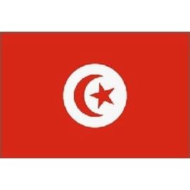 Tunisia Flag Polyester 3 ft. x 5 ft.