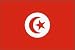 Tunisia Flag Polyester 3 ft. x 5 ft.