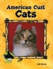 American Curl Cats (Animal Kingdom Set II) - Cliquez ici pour davantage d'informations sur ce livre
