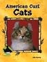 American Curl Cats (Animal Kingdom Set II)
