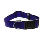 Aspen Pet 1 Single Ply Nylon Adjustable Dog Collar