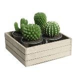 Set Of Four Cacti Candles In Metal Pots