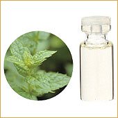 【生活の木】スペアミント 10mL