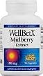 WellBetX Mulberry Ext. 100mg - 90 - Capsule WellBetX Mulberry Ext. 100mg - 90 - Capsule