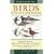 Hamlyn Guide Birds of Britain and Europe