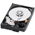 Western Digital Caviar Green 1 TB Bulk/OEM Hard Drive 3.5 Inch, 16 MB Cache, 5400 RPM SATA II WD10EACS