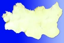 Natural Sheepskin Pads Large Size