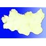 Natural Sheepskin Pads- Standard Size