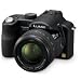 Lumix DMC-FZ50K 10.1 Megapixel 12x Optical/2x Digital Zoom Digital Camera (Black)