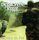 Divided We Fall