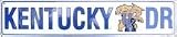 Kentucky Wildcats Metal Street Sign *SALE*