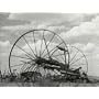 The Great Depression - 1930's-40's - 5 Hours of Early Films on DVD