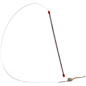 Bird Cat Catcher Feather Toys