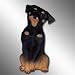 Rottweiler - Best Friends Magnet