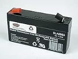 6V 1.3Ah SLA Rechargeable Battery