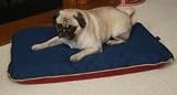 Paus 20 x 30 Indoor/Outdoor Orthopedic Bed